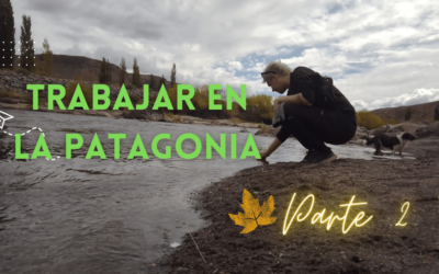 Oportunidades para Trabajar en Neuquén siendo Profesional de la Salud